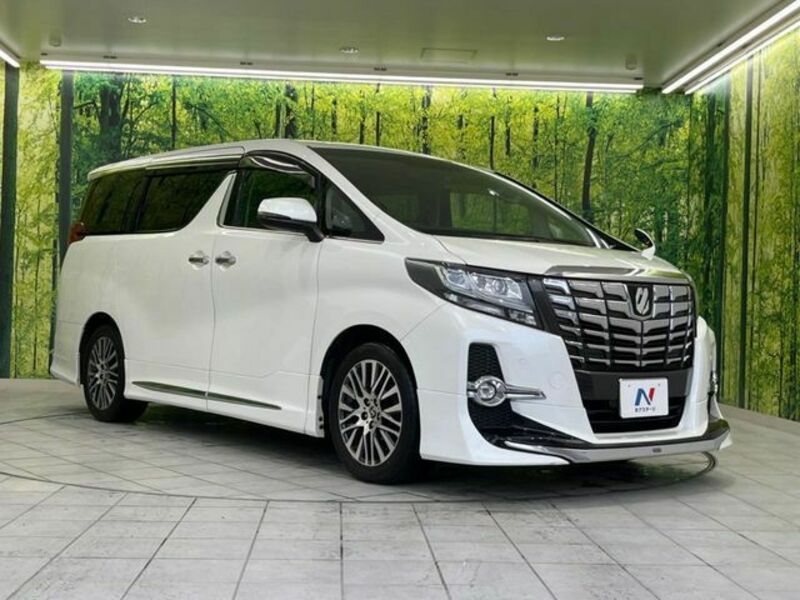 ALPHARD-16