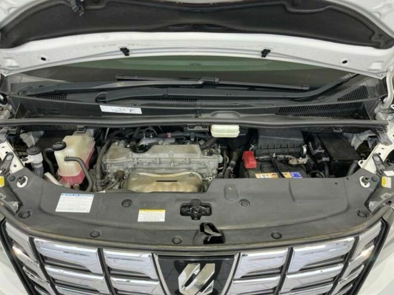 ALPHARD-18