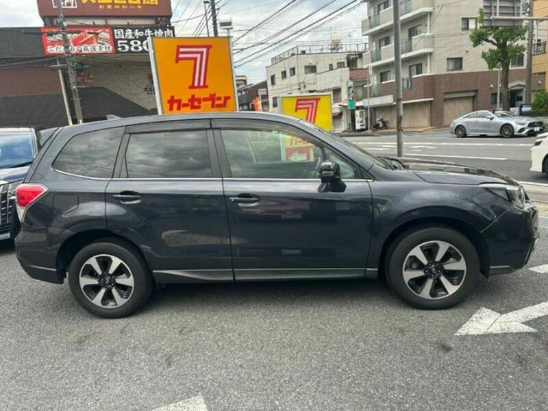 FORESTER