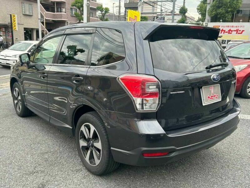FORESTER