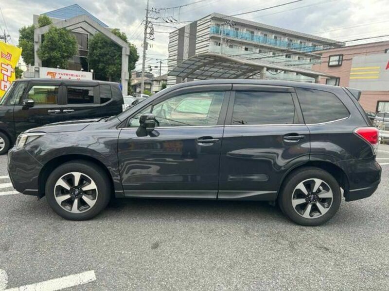 FORESTER