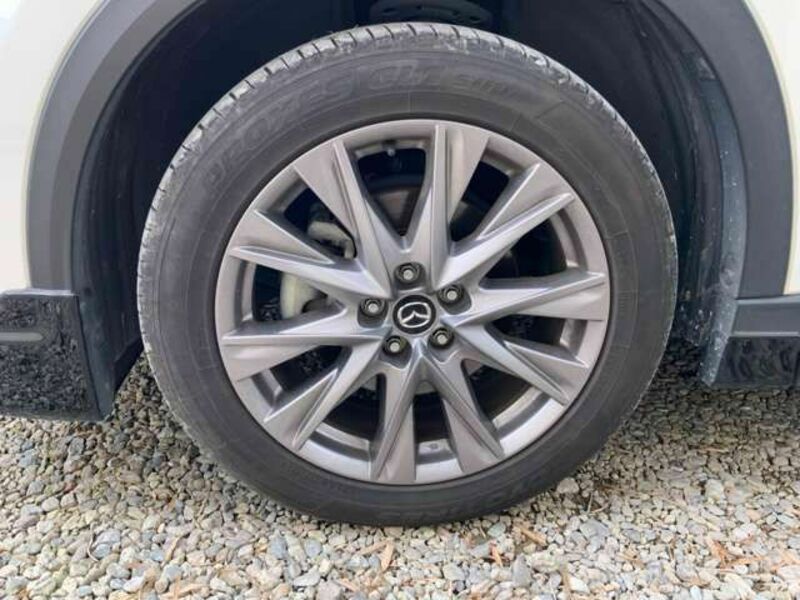 CX-8