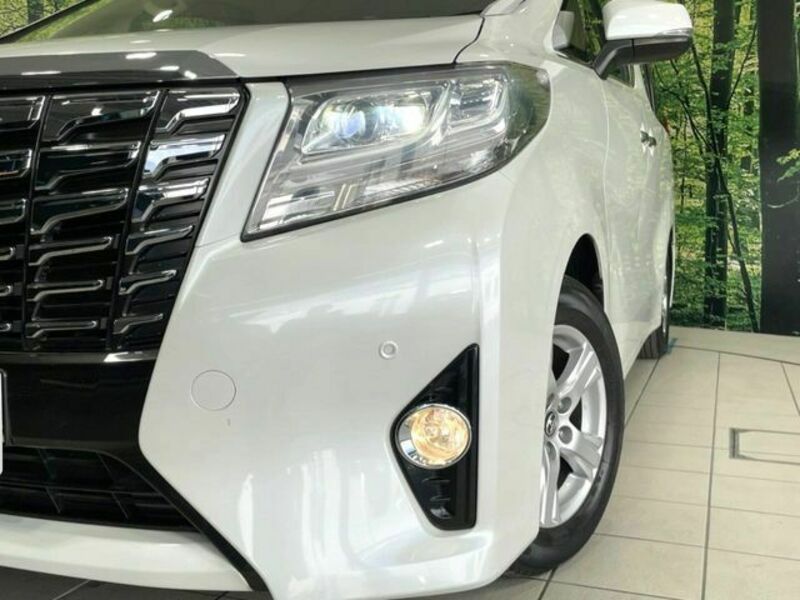 ALPHARD-12