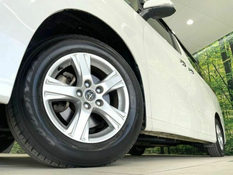 ALPHARD-13