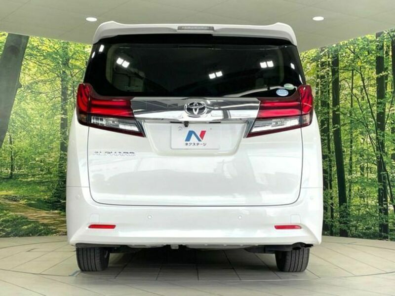 ALPHARD-15