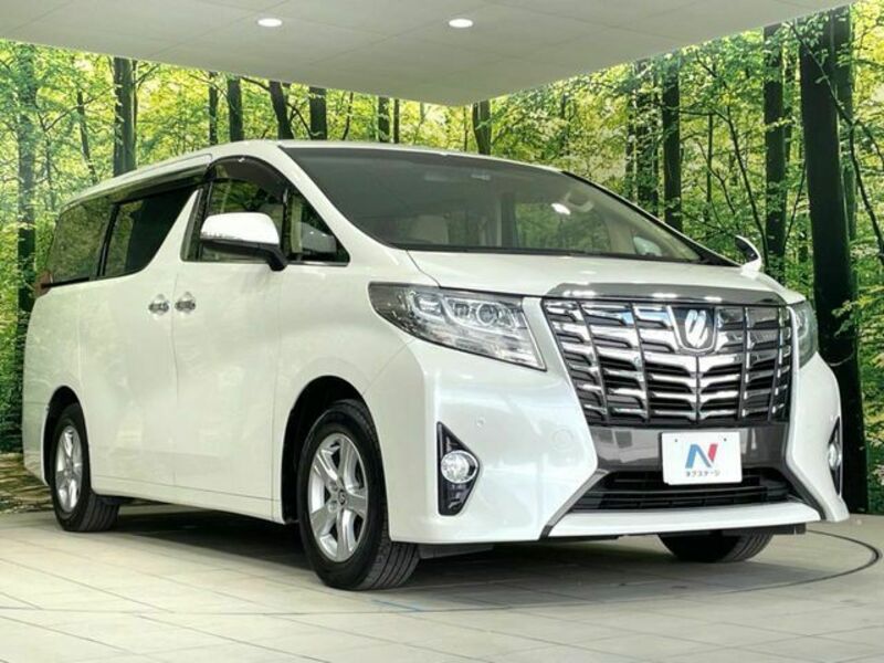 ALPHARD-16