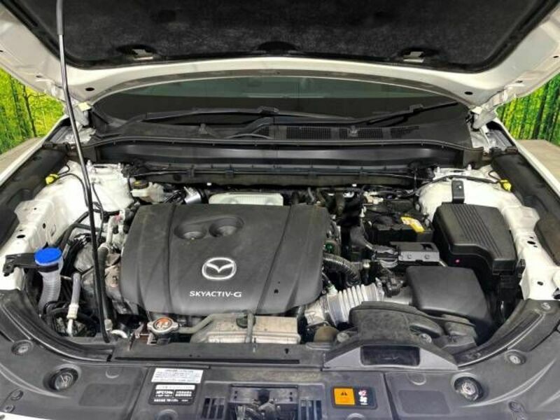 CX-8