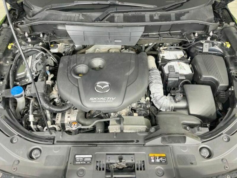 CX-8
