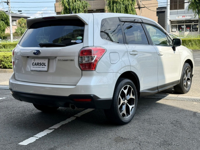 FORESTER