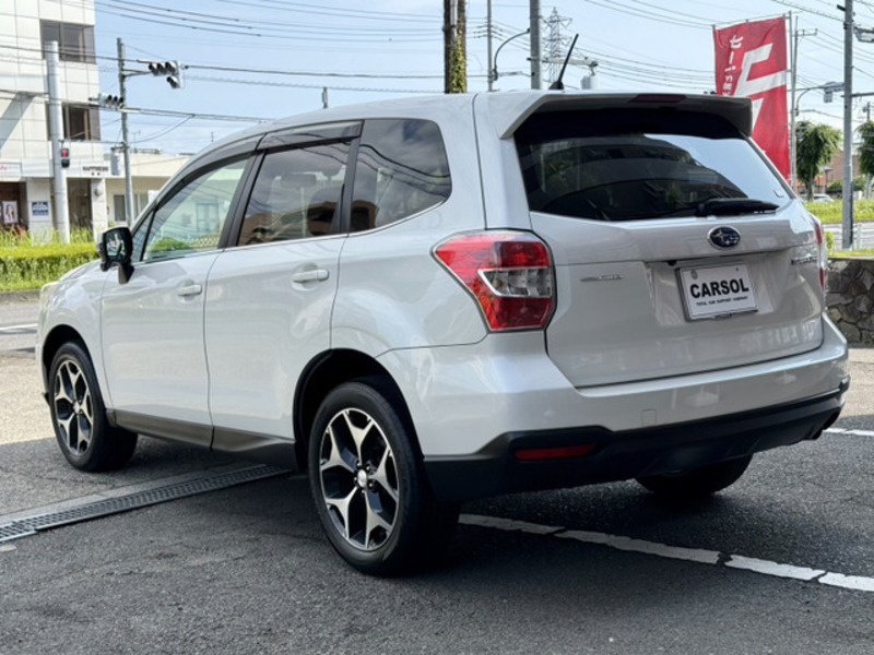 FORESTER