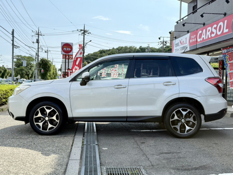 FORESTER
