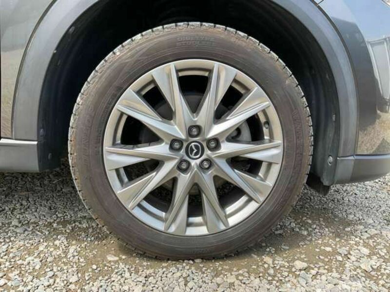 CX-8