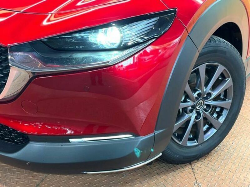 CX-30