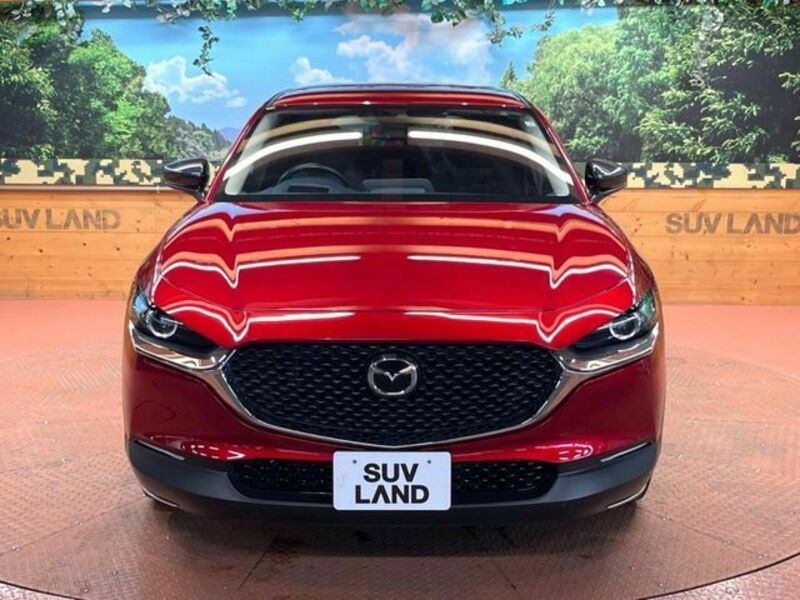 CX-30