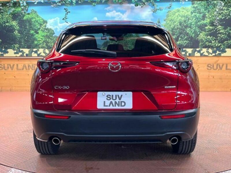 CX-30