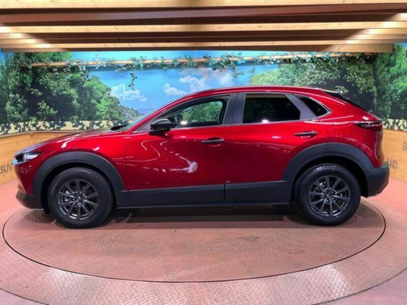 CX-30