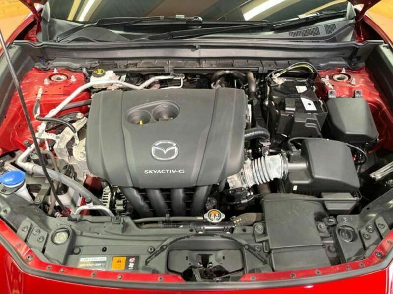 CX-30