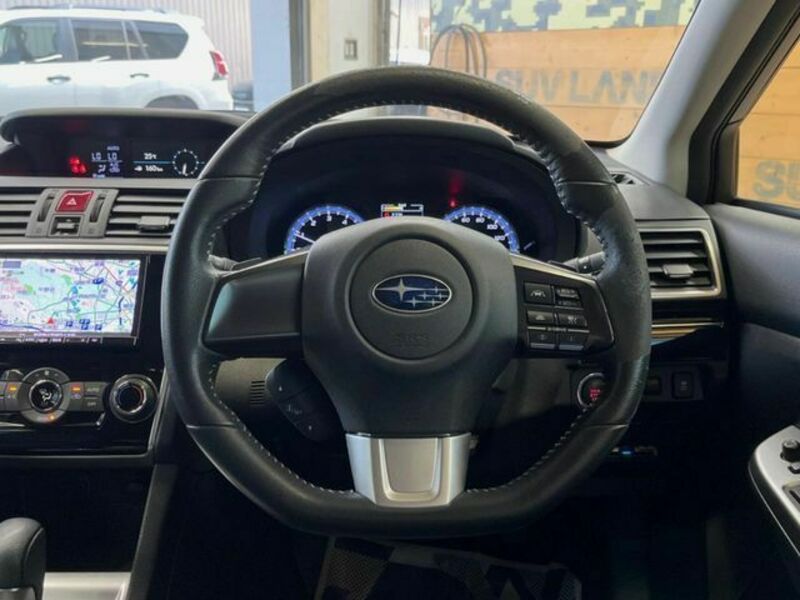 LEVORG