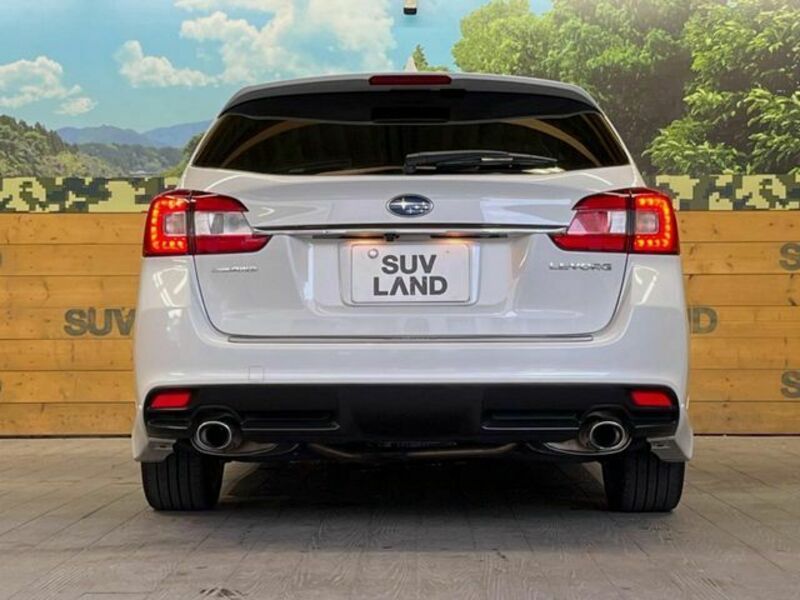 LEVORG