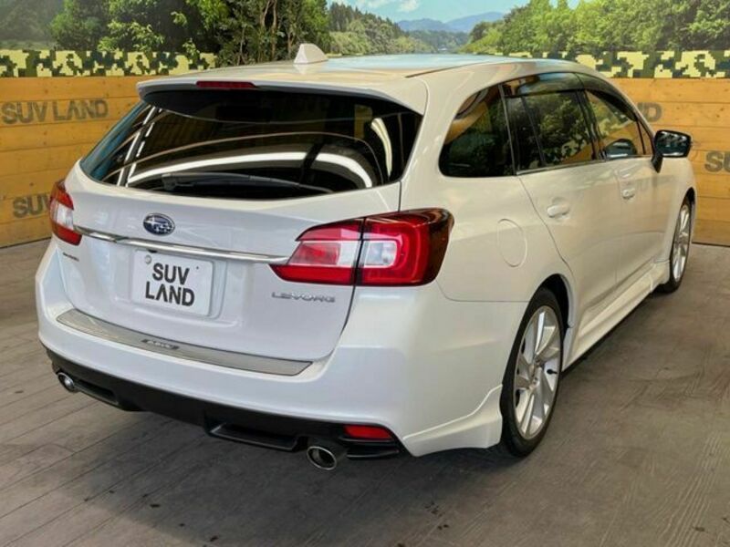 LEVORG