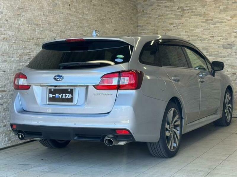 LEVORG