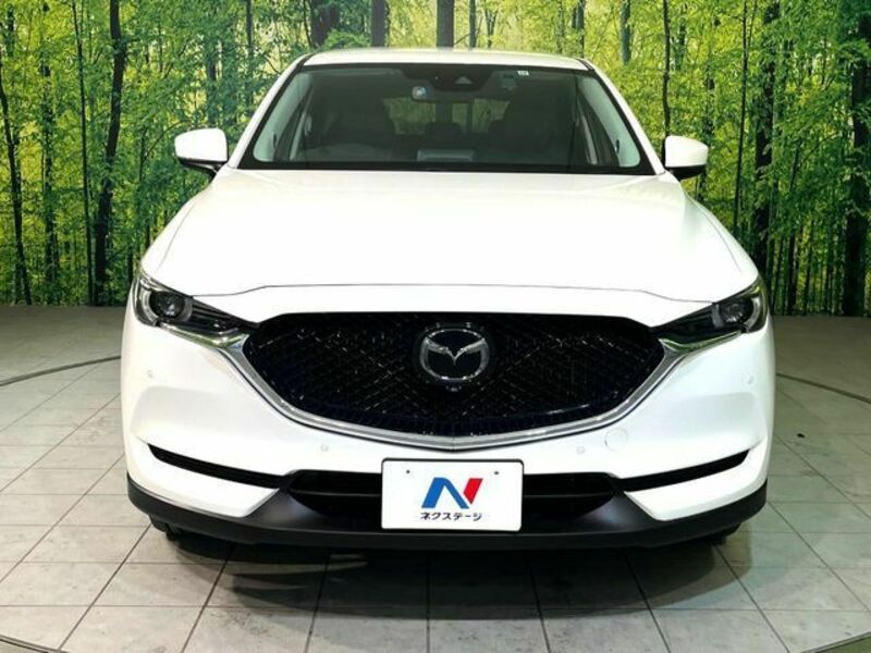 CX-5-13