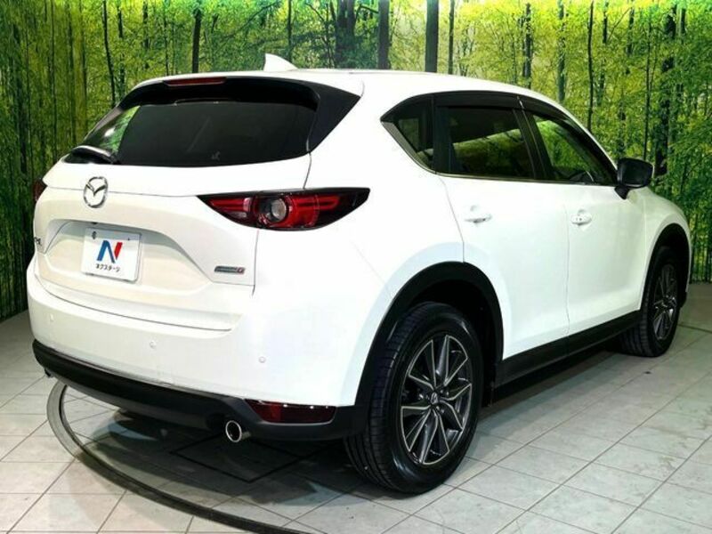 CX-5-16