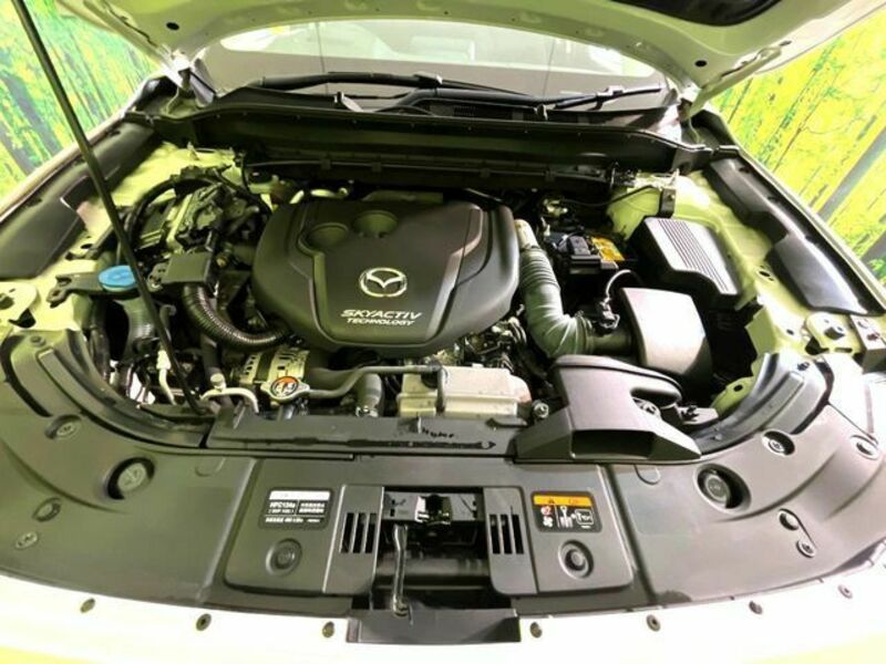 CX-5-17