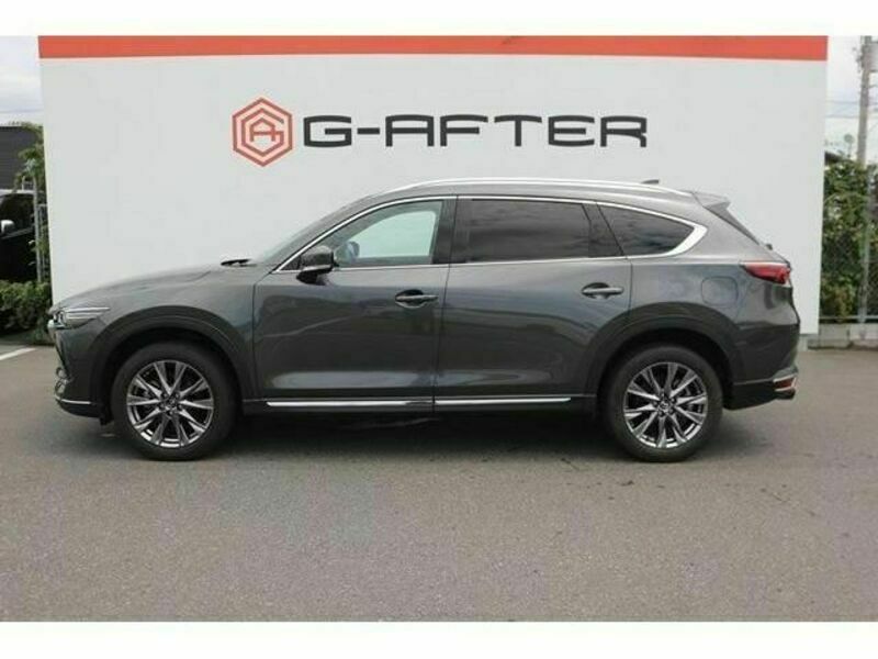 CX-8-8