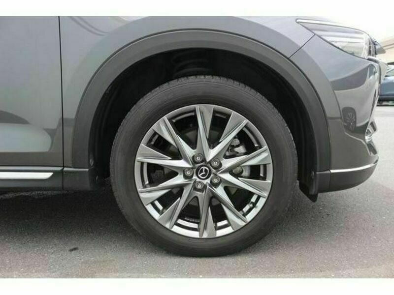 CX-8-11