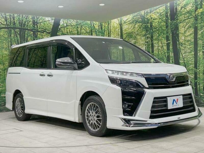 VOXY-17