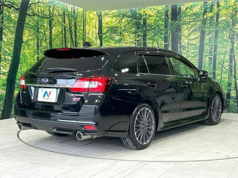 LEVORG