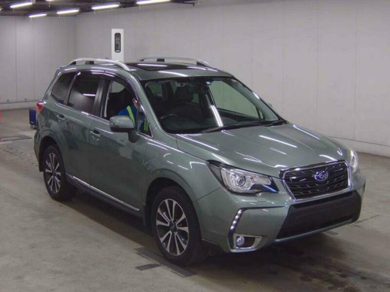 FORESTER
