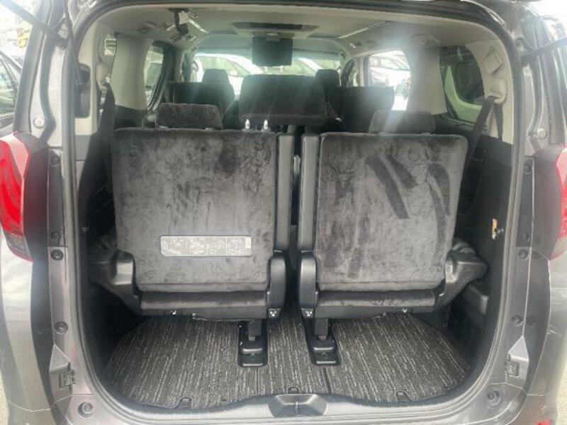 ALPHARD-6