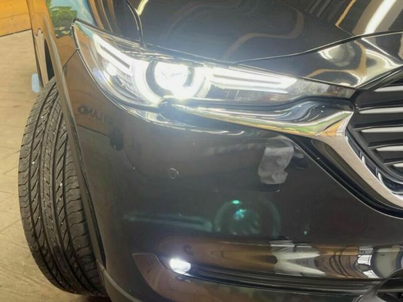 CX-8