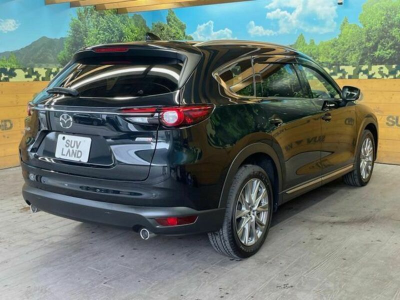 CX-8