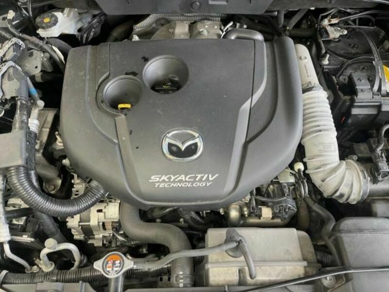CX-8