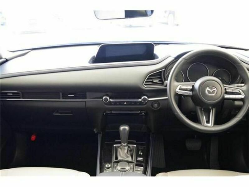 CX-30-1