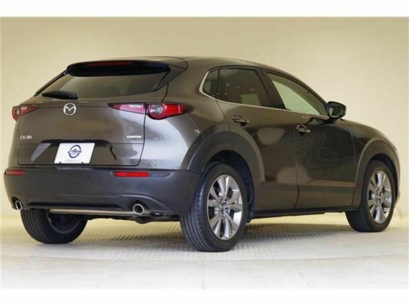 CX-30-8