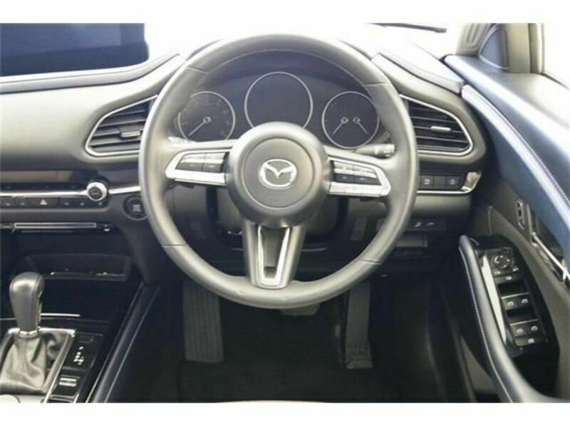 CX-30-19