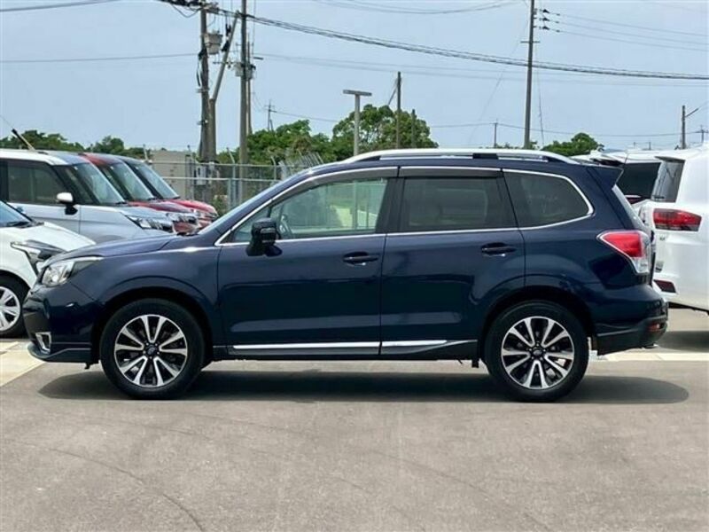 FORESTER