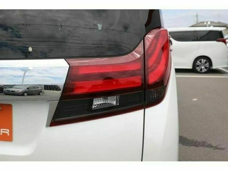 ALPHARD-10