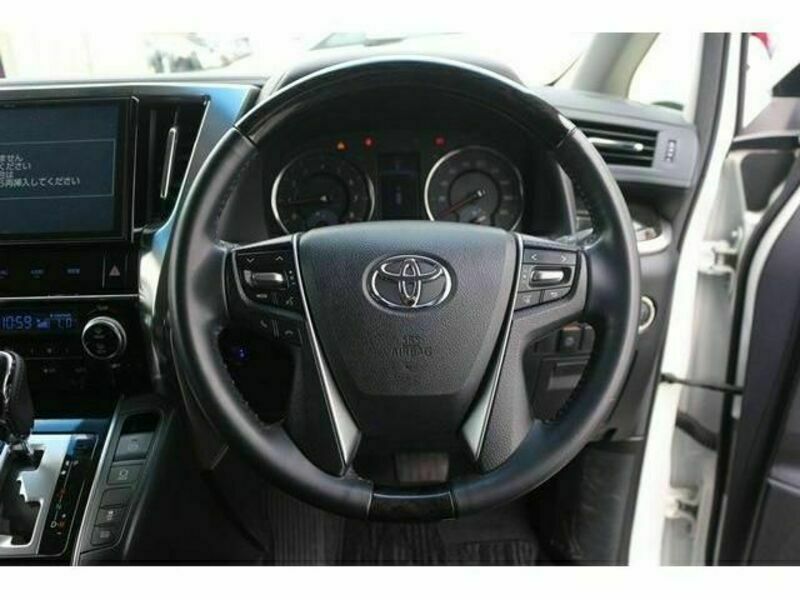ALPHARD-16