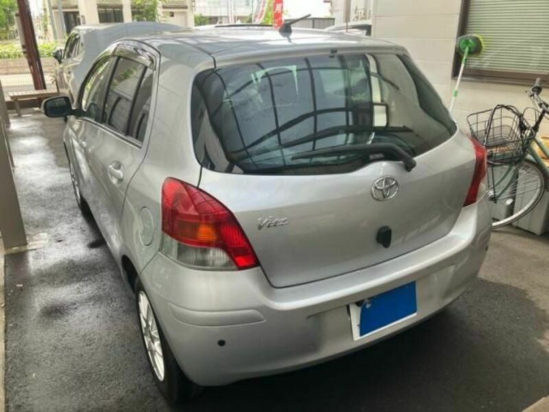 VITZ-3