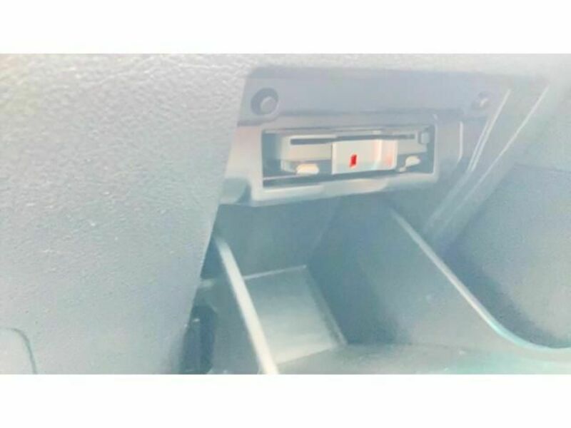 ALPHARD-19