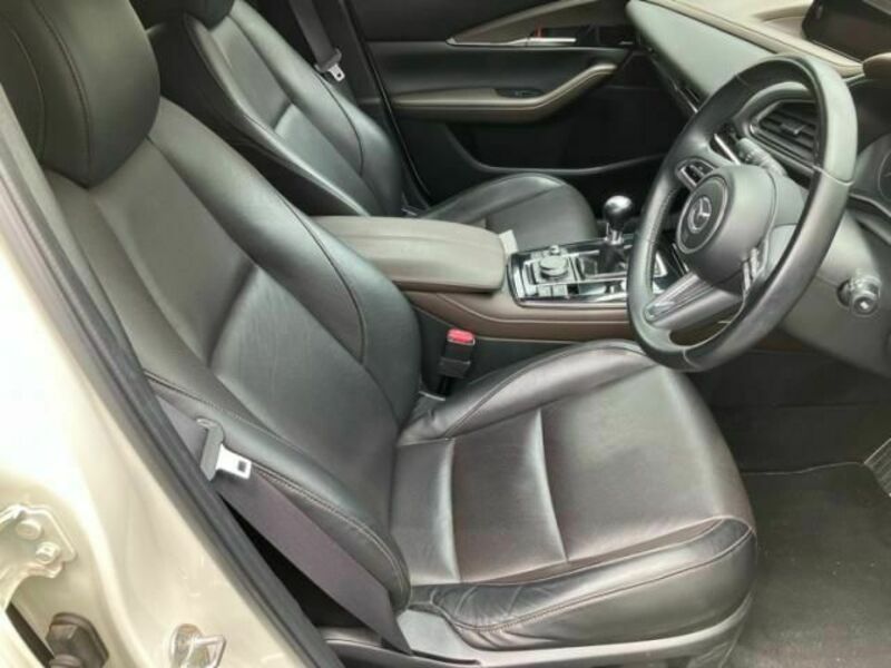 CX-30