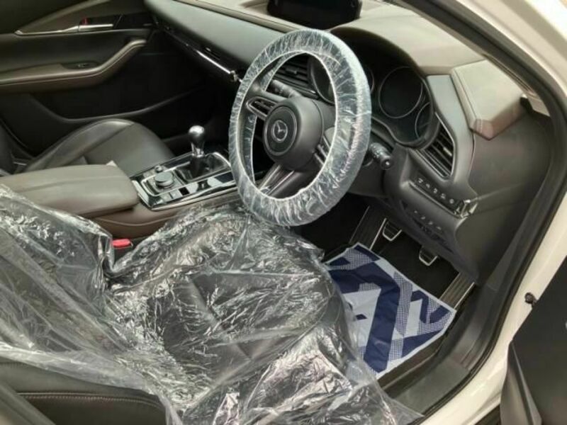 CX-30