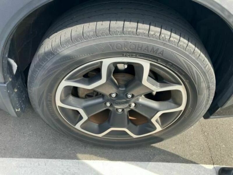XV