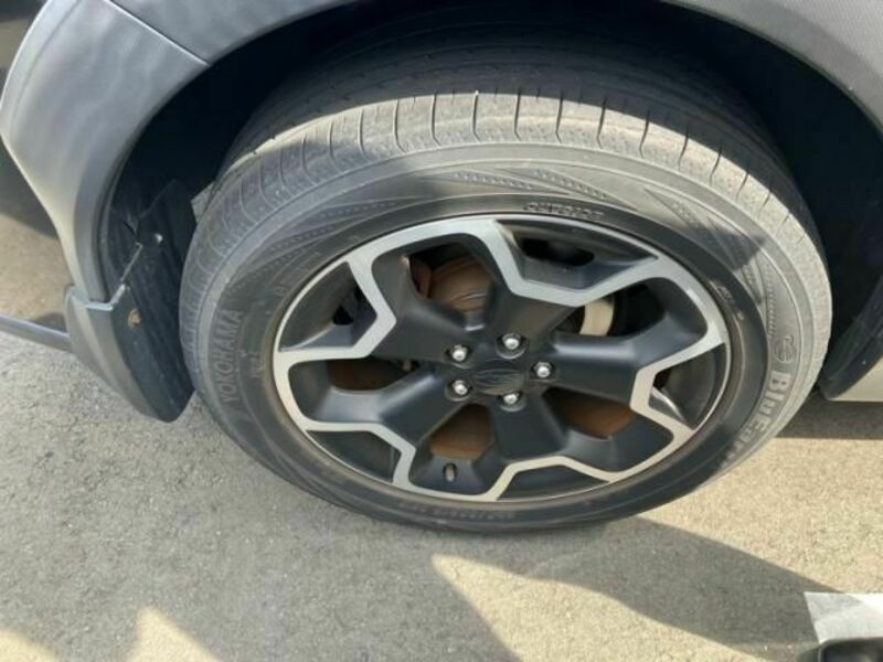 XV