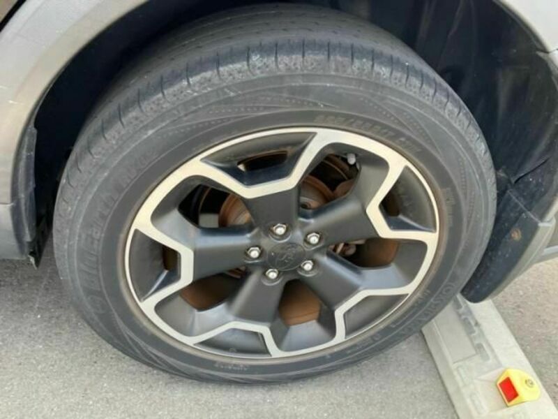 XV